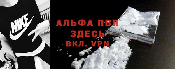 твердый Няндома