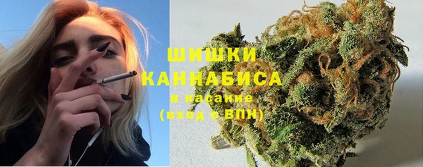 МДПВ Новодвинск
