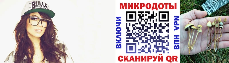 Галлюциногенные грибы Magic Shrooms  Нязепетровск 